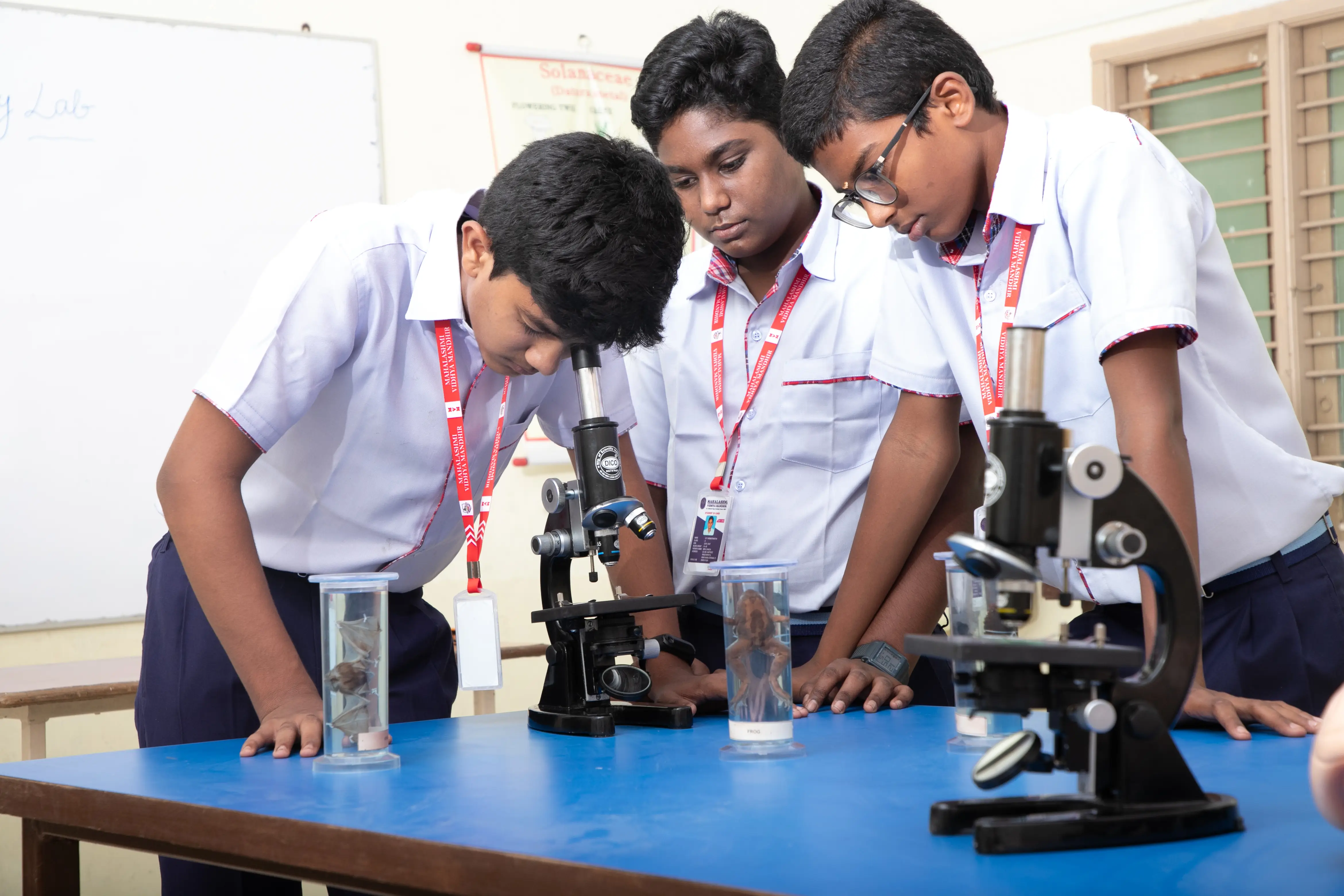 International School in Chennai